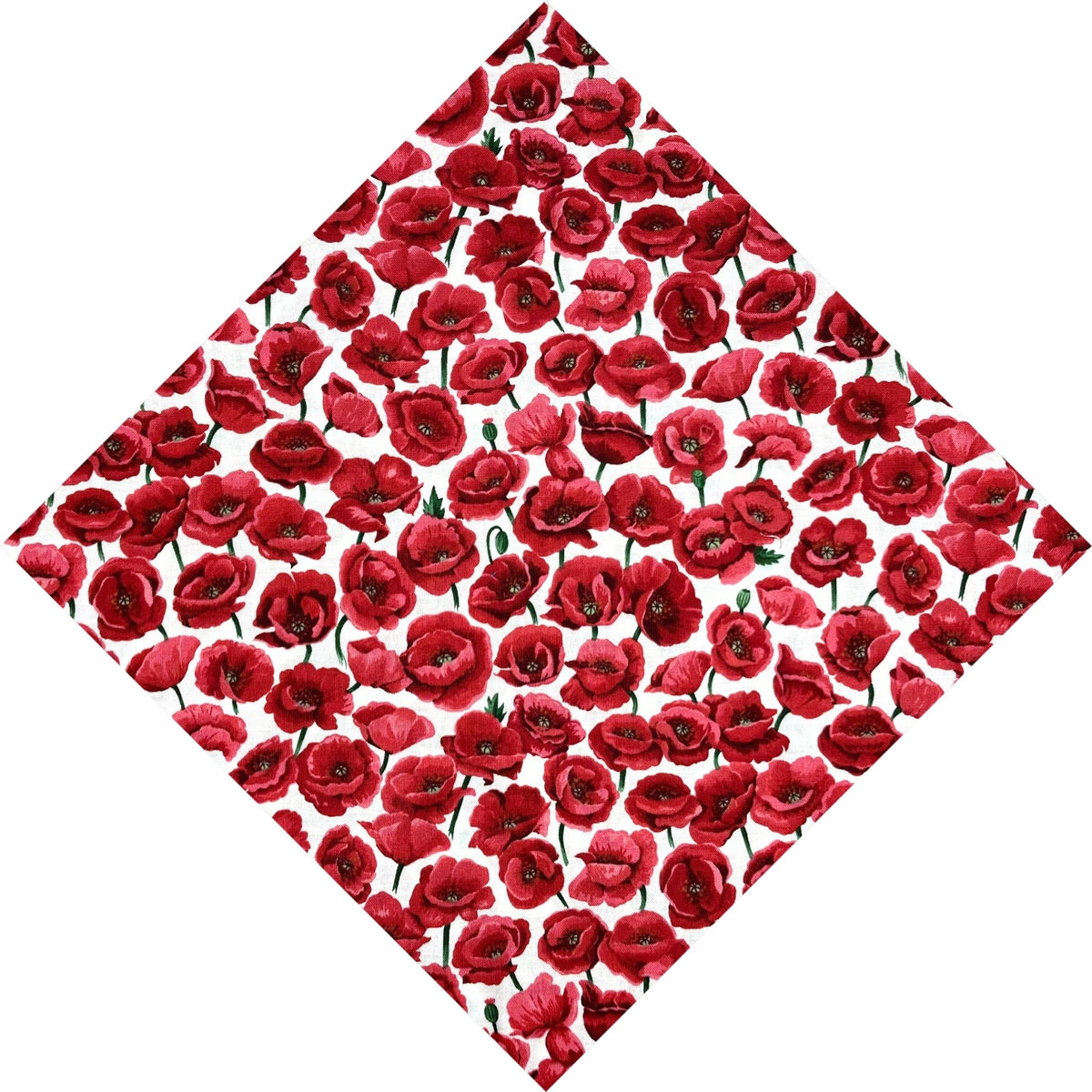 red poppies on white background pocket square