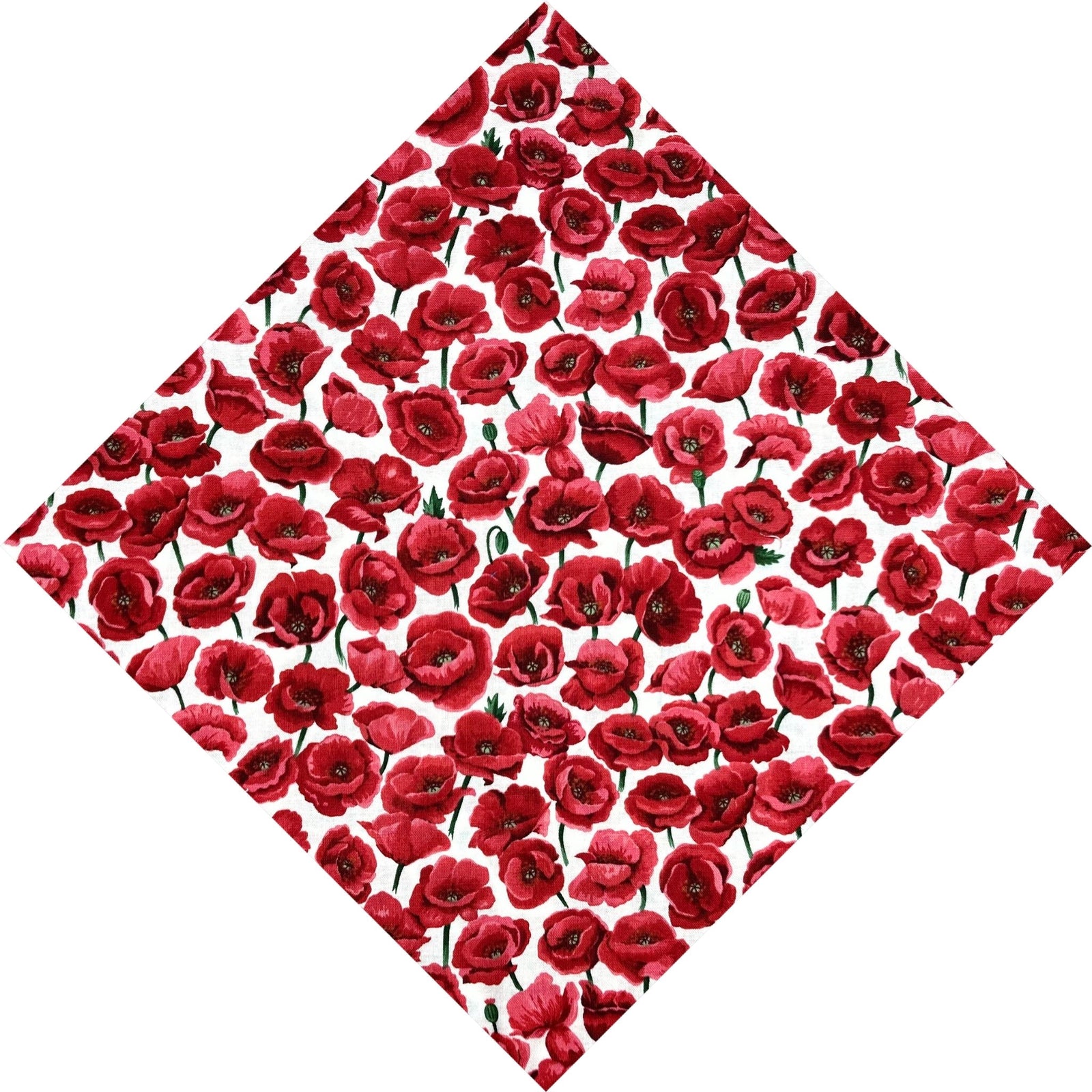 red poppies on white background pocket square